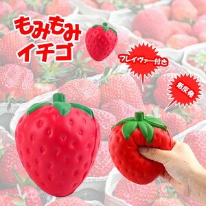  XNC[Y  t 11.5cm rbOTCY ᔽ bNX  Xgx[[`OXցAAs]