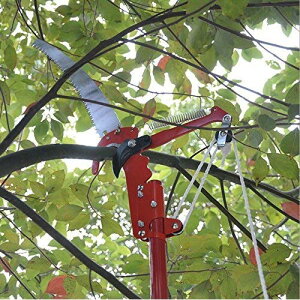 2way Ȉ }؃oT~ y  } K[fjO [(ꕔn)]