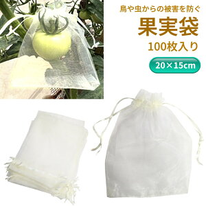 ʎ ItzCg 20×15cm 100 ʎی ʕlbg یlbg hlbg В [`OXցAAs]