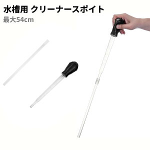 p N[i[X|Cg 29cm Ǖt  |p a z ANAEp[`OXցAAs]