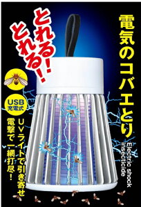 dC̃RoGƂ dE [d ߒ d TKY-82[(ꕔn)]