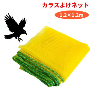 JX悯lbg 1.2×1.2m Ԗږ4mm K[h 胍[v ɋ JX   L [(ꕔn)]