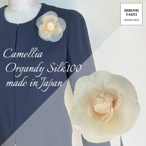 VN100 VN I[KW[ RT[W JA x[W w Ǝ  Zj[ tH[} 畞 ܎ Ă΂ { }} e c fB[X  El X[