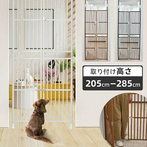 ybg hA P[W  ی lR Eh~  tFX Eh~ Lp   X`[ ybgP[W V SԊu3.5cm 205`285cm Lʂ蔲h~ t75`78cm ybg 