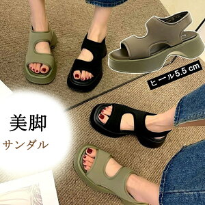 X|[cT_ fB[X  T_ ₷ r[`T_ T_ vbgtH[ t@bVT_  Xj[J[T_ RtH[gT_ T_ 