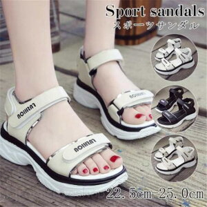 T_ fB[X X|[cT_ V[Y Xgbv  Ȃ EFbW\[ ɂ X|T t ₷