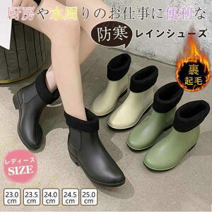 CV[Y RbNV[Y fB[X JC ~[ ƌC Cu[c Lb`V[Y h V[Y Lb` C