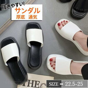 T_ fB[X  EFbWq[ Xbp nCq[ r ~[T_ Xbp  ₷ 