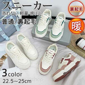 Xj[J[ fB[X  Xj[J[ N {A ʋ ʊw Cq[ fB[XV[Y r r 