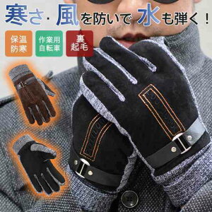  Y fB[X N g h oCNp O[u ] ~ H~ l amp ʋ ʊw X|[c X