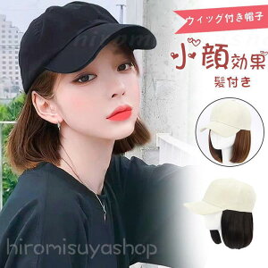 Lbv tXq ѕtXq V[g EBbOtXq ϑ {u ^ ×pEBbO  ؍ R  C`F