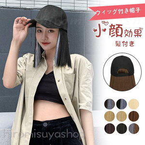 Lbv tXq nbg ѕtXq V[g EBbOtXq ϑ {u ^ ×pEBbO  ؍ R  C`F