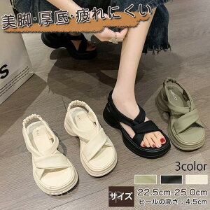 T_ fB[X  ₷  Vv y RtH[gT_ 4.5cm ɂ 傫TCY lC Ȃ Xgbv