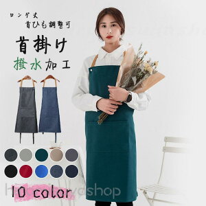 Gv  ۈm 킢 傫TCY JtF fj l Y fB[X  ̓Mtg