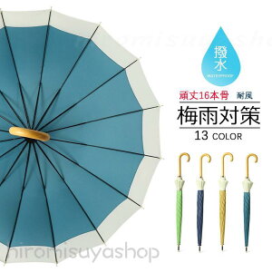 y13FWJzP fB[X JP Y ^b`P 傫 ~J΍ ϕ naP H 16{ }JF j  蕨