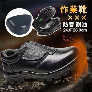 SC Xj[J[ ƌC h ϖ AEghA E₷ v v Ȃ | h ݔ oR lC 30 