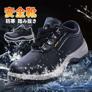 SC Xj[J[ ƌC h ϖ AEghA E₷ Ȃ | h@h~ h ݔ oR lC 30  n