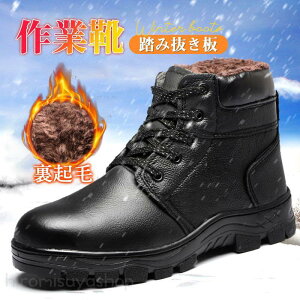 SC Xj[J[ nCJbg ƌC N h ϖ AEghA E₷ Ȃ | h ݔ oR lC 30 