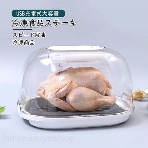 冷凍食品ステーキ解凍トレードフロストUSB充電式大容量家庭用解凍板解凍皿急速解凍調理器具速度解凍肉魚冷凍商品