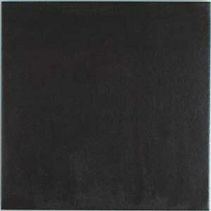 300p ^C z փ^C  oZi NS-10Ayiz