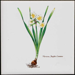 ^C 100p G^C fUC^C p^C Ntg DIY y97.7~×97.7~×5~^XCZ H11898z