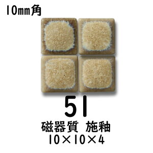 10~p UCN^C x[W  DIY Ntg A[gp^C UCNA[g PF̔  576i1V[gjyF51z