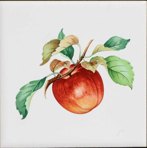 ^C 100p G^C fUC^C p^C Ntg DIY y97.7~×97.7~×5~^F401Sz