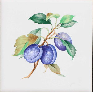 ^C 100p G^C fUC^C p^C Ntg DIY y97.7~×97.7~×5~^F0389v[z