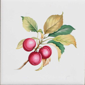 タイル 100角 絵タイル デザインタイル 内装用タイル クラフト DIY 【97.7ミリ×97.7ミリ×5ミリ厚/F0394 姫リンゴ大】