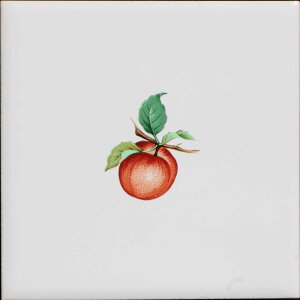 ^C 100p G^C fUC^C S p^C Ntg DIY y97.7~×97.7~×5~^SF403z