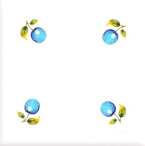 ^C 100p G^C fUC^C p^C Ntg DIY y97.7~×97.7~×5~^ʎD0188z