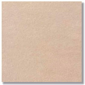 y300pz^C  p^C@HomeRun@G38522@R^^Lʏi11/P[XPʔ̔j