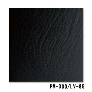 300p^C ⒲^C ^C X[v  ^C ޗp^C HX ̔yPM300/LVz