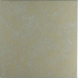 300p ^C z փ^C  oZi NS-5A@P[X̔@16