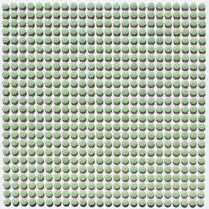 L[g10~ۃ^C@V[g@ΐF@5D