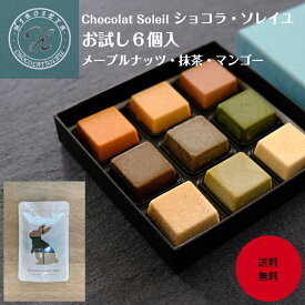 【ショコラソレイユ6個入】送料無料 お試し メープルナッツ 抹茶 マンゴー ヒロセヤ チョコレート ショコラ 新食感 洋菓子 ギフト プレゼント 東京土産 スイーツ プチギフト メール便 1000円ポッキリ 母の日 父の日