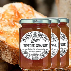 �`�b�v�g���[ �I�����W�}�}���[�h 340g 3�{�Z�b�g �������� �W���� �C�M���X�`���̖�