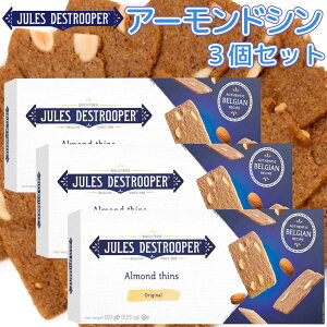 W[X fXg[p[ A[hV 100g 3Zbg  xM[ bt t_[X xM[pBi