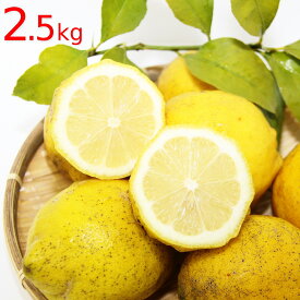 広島県産 レモン 約2．5kg 農園直送 クール便 送料込み サイズいろいろ 皮まで食べられます 国産レモン 広島県呉市豊島 竹川農園