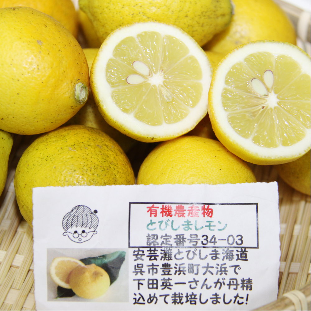 楽天市場】広島産 レモン 大長 有機栽培のレモン 約２．５kg サイズ