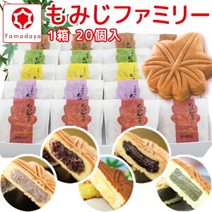  L ܂ ݂t@~[ 20 \ { yY aَq ݂ L G7 LT~bg