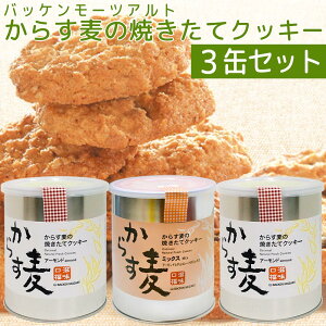  obP[cAg 炷̏Ă NbL[ 3ʃZbg A[h130g2ʁE~bNX130g1 L yY