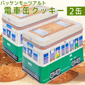 [cAg dԊʃNbL[ 651 2ʃZbg  LyY 炷 obP[cAg Ђł