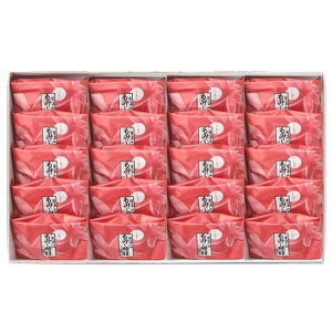  L ݂\ 20 {݂̂ǂL\aَq ~ ܕt yY G7 LT~bg