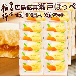 L ˂ق 10 3Zbg 񂰑ܕt  ~