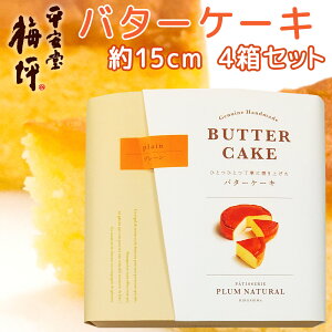 広島銘菓 バターケーキ 手提げ袋付き 4箱セット 送料込み 手土産 平安堂梅坪