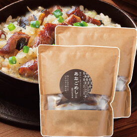 あなごめしの素 2合炊 2袋セット 送料込み 阿藻珍味 釜飯 穴子飯 炊き込みご飯の素