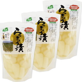 鳥取砂丘産 らっきょう漬 130g 3袋セット 送料無料 センナリ 米酢 鳥取県