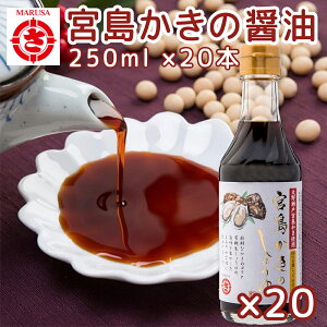 yݖ 250ml 20{Zbg L{ T  a 傤 wsgp ݖ