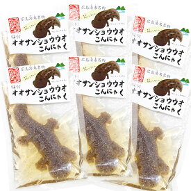 オオサンショウウオ(大) こんにゃく 140g 6袋セット 数量限定品 高校生コラボ商品 送料込み クール便 蒟蒻 TV紹介品 きもかわいい 藤利食品